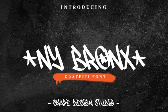Ny Bronx Display Font for Modern Web Design
