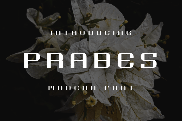 Prabes: A Fun Display Font for Elevating Your Brand Identity